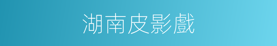 湖南皮影戲的同義詞