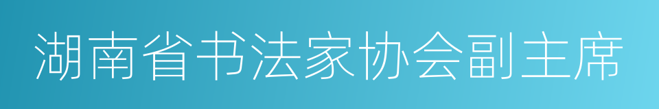 湖南省书法家协会副主席的同义词