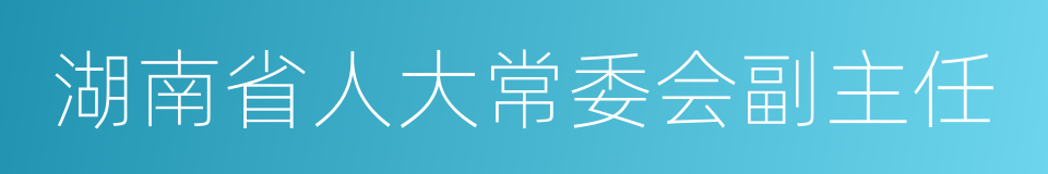 湖南省人大常委会副主任的同义词