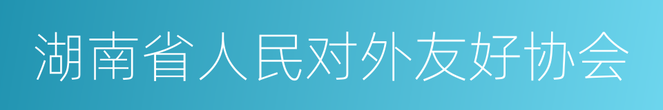 湖南省人民对外友好协会的同义词