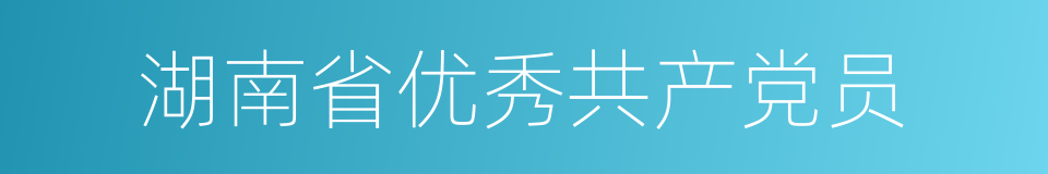 湖南省优秀共产党员的同义词