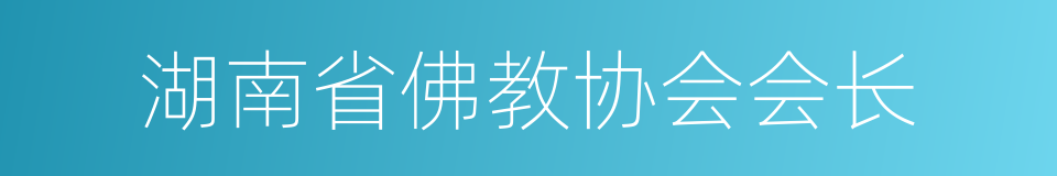 湖南省佛教协会会长的同义词