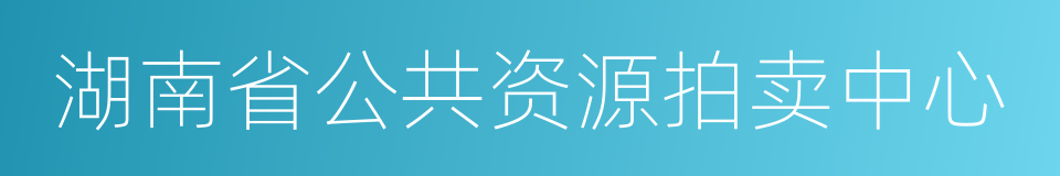 湖南省公共资源拍卖中心的同义词