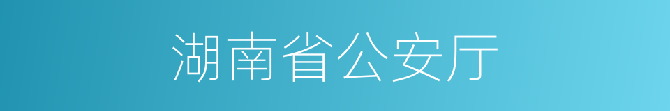 湖南省公安厅的同义词