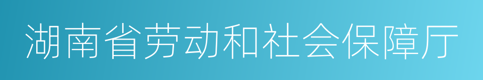 湖南省劳动和社会保障厅的同义词