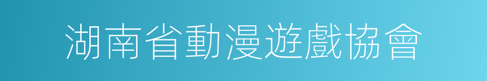 湖南省動漫遊戲協會的同義詞