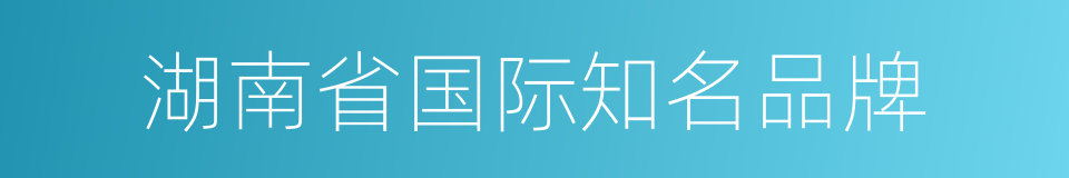 湖南省国际知名品牌的同义词