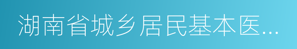 湖南省城乡居民基本医疗保险实施办法的同义词