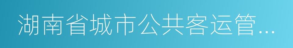 湖南省城市公共客运管理办法的同义词