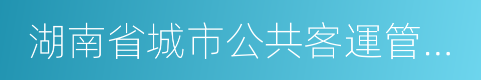 湖南省城市公共客運管理辦法的同義詞