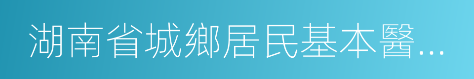 湖南省城鄉居民基本醫療保險實施辦法的同義詞