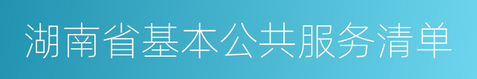 湖南省基本公共服务清单的同义词