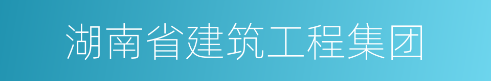 湖南省建筑工程集团的同义词