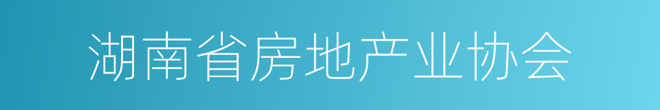 湖南省房地产业协会的同义词