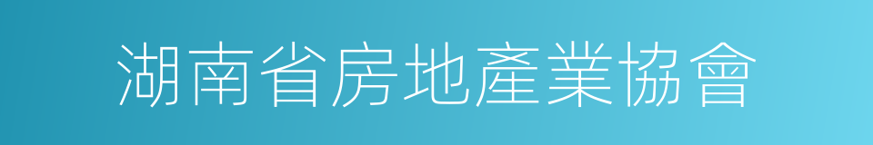 湖南省房地產業協會的同義詞