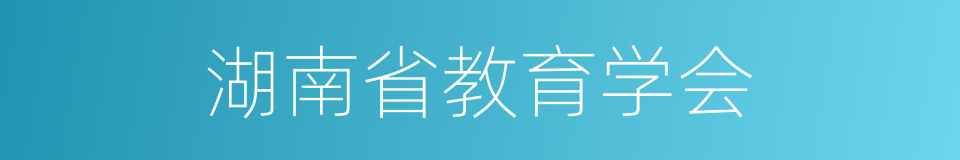 湖南省教育学会的同义词