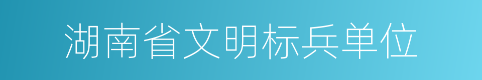 湖南省文明标兵单位的同义词