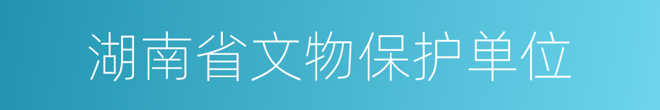 湖南省文物保护单位的同义词