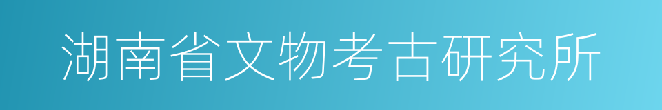 湖南省文物考古研究所的同义词