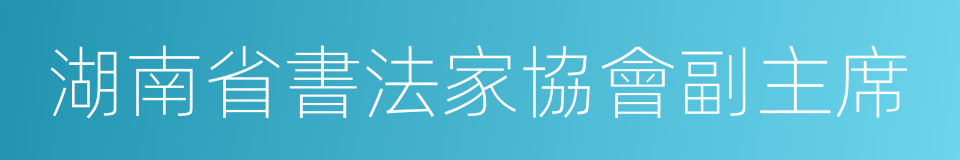 湖南省書法家協會副主席的同義詞