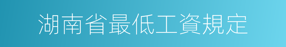 湖南省最低工資規定的同義詞