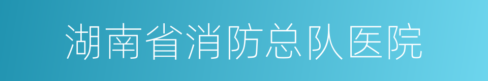 湖南省消防总队医院的同义词