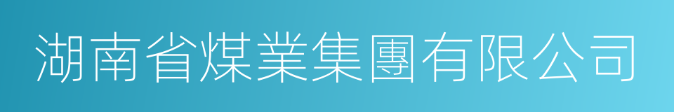 湖南省煤業集團有限公司的同義詞