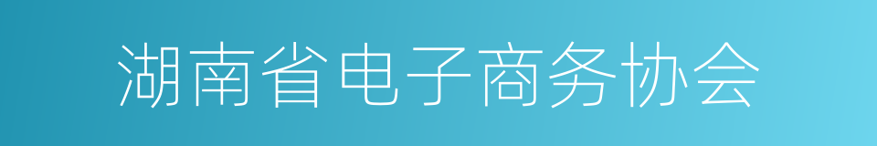 湖南省电子商务协会的同义词