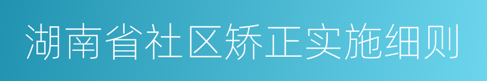 湖南省社区矫正实施细则的同义词