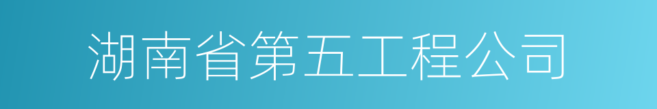 湖南省第五工程公司的同义词