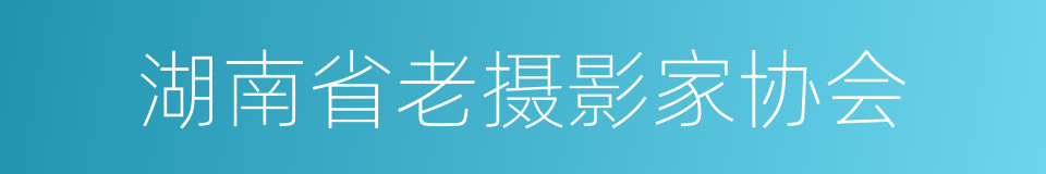 湖南省老摄影家协会的同义词