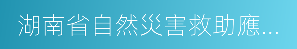 湖南省自然災害救助應急預案的同義詞