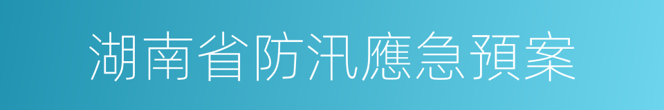 湖南省防汛應急預案的同義詞