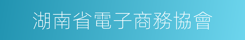 湖南省電子商務協會的同義詞