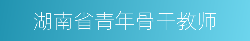 湖南省青年骨干教师的同义词