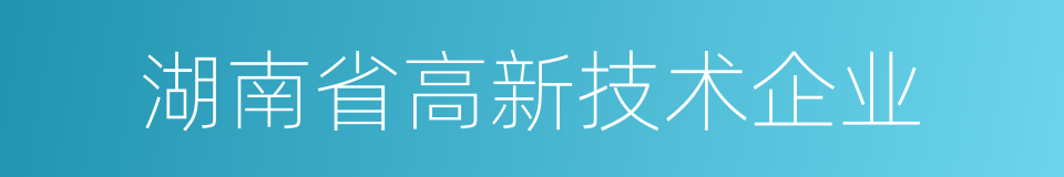 湖南省高新技术企业的同义词