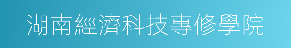 湖南經濟科技專修學院的同義詞