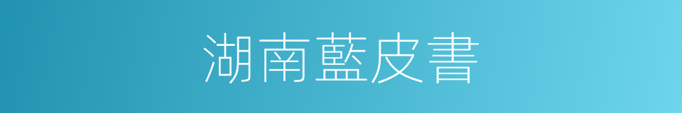 湖南藍皮書的同義詞