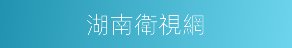 湖南衛視網的同義詞