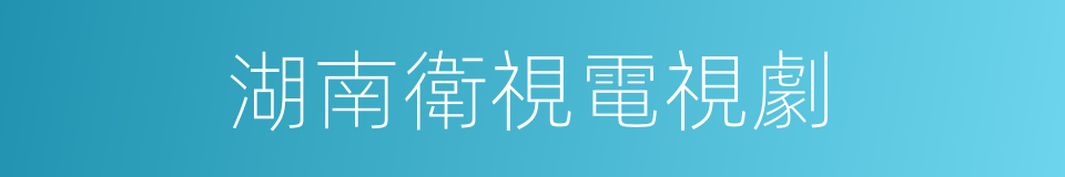 湖南衛視電視劇的同義詞