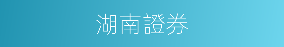 湖南證券的同義詞