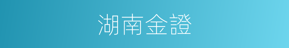 湖南金證的同義詞