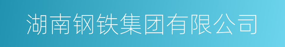 湖南钢铁集团有限公司的同义词