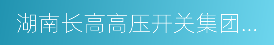 湖南长高高压开关集团股份公司的同义词