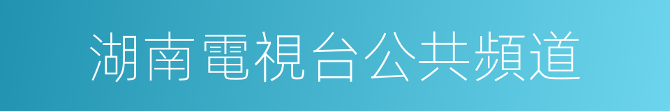 湖南電視台公共頻道的同義詞