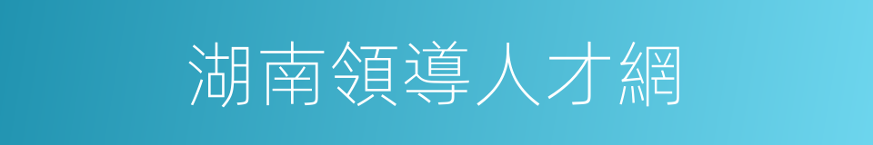 湖南領導人才網的同義詞