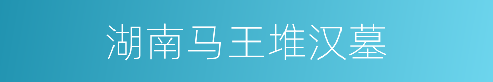 湖南马王堆汉墓的同义词