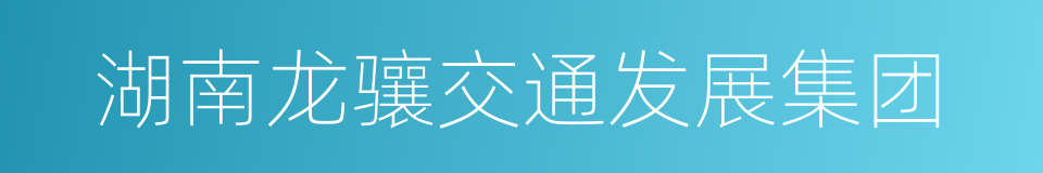 湖南龙骧交通发展集团的同义词
