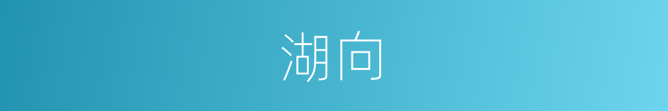 湖向的同义词