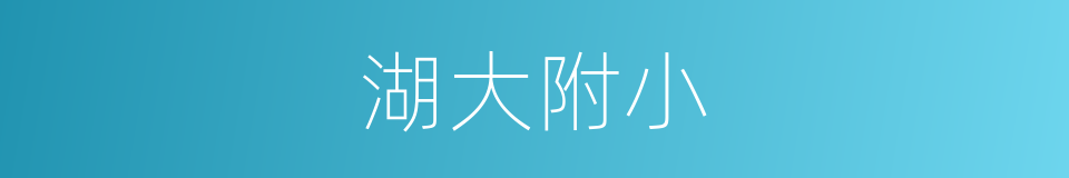 湖大附小的同义词
